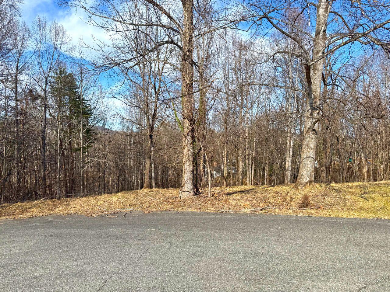0 Highview Terrace Rocky Mount, VA 24151 - Photo 16 of 23 a view of snow on the side of a road