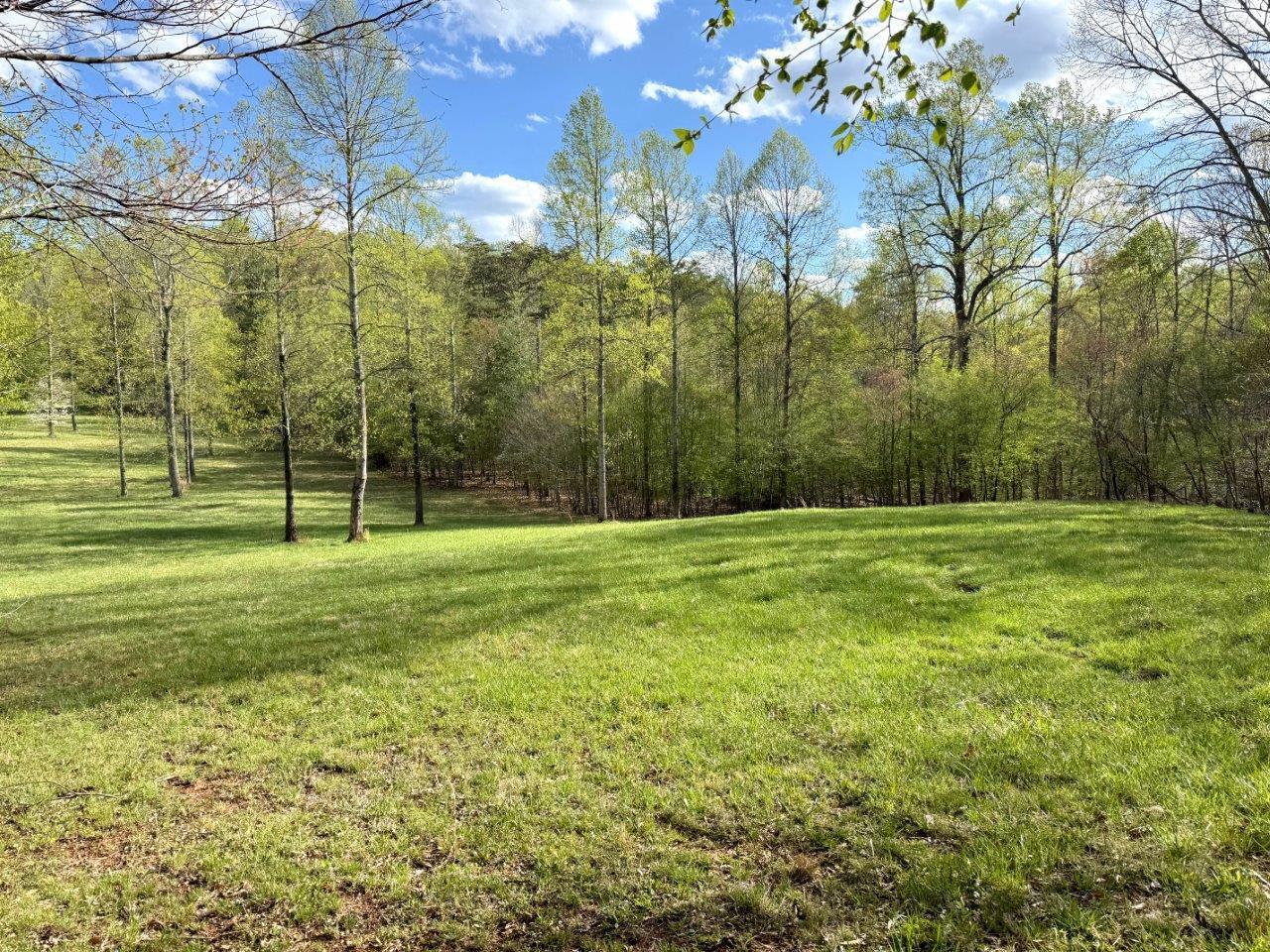 0 Highview Terrace Rocky Mount, VA 24151 - Photo 17 of 23 a view of a park with large trees