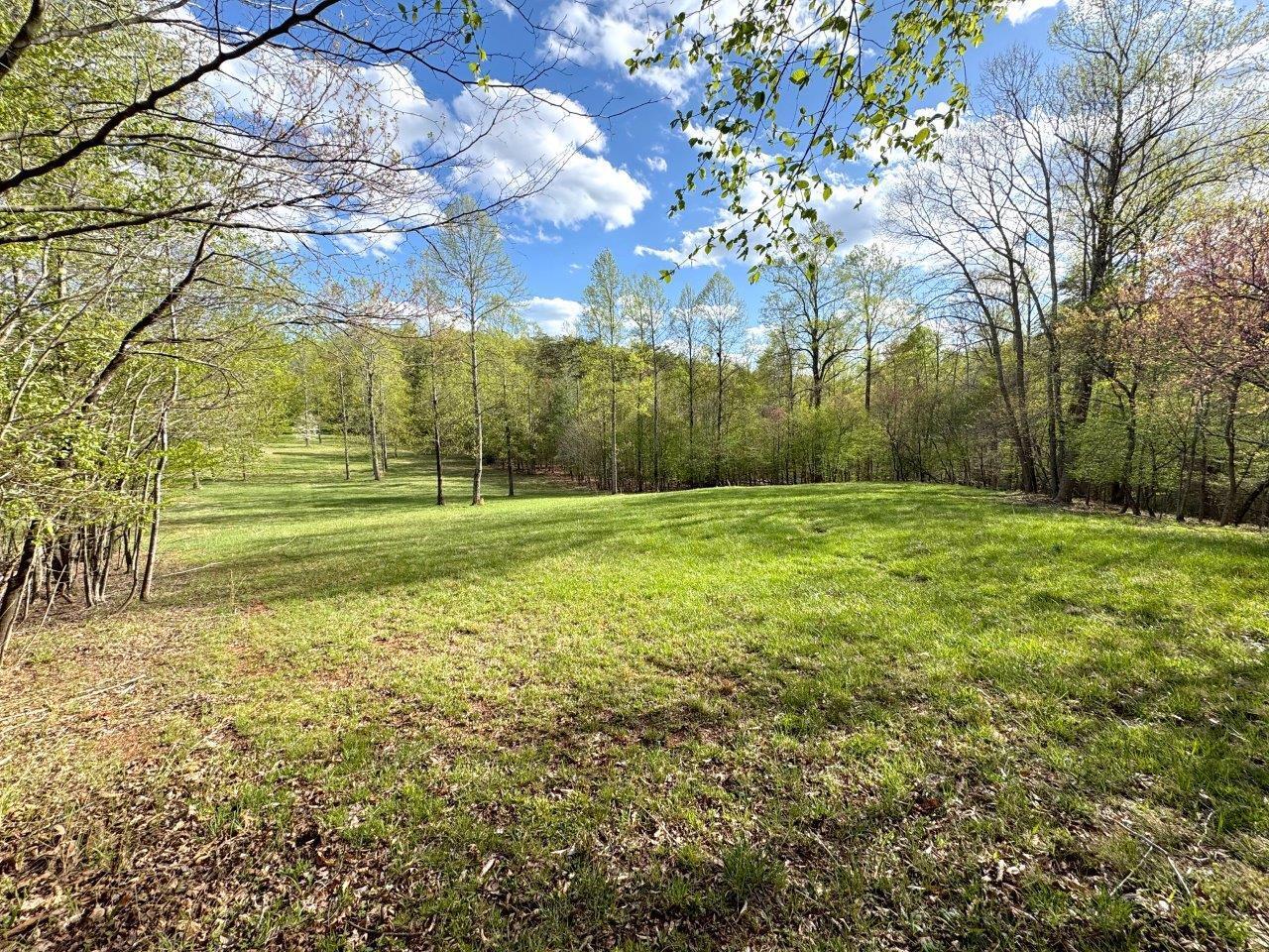 0 Highview Terrace Rocky Mount, VA 24151 - Photo 18 of 23 a view of a field with trees