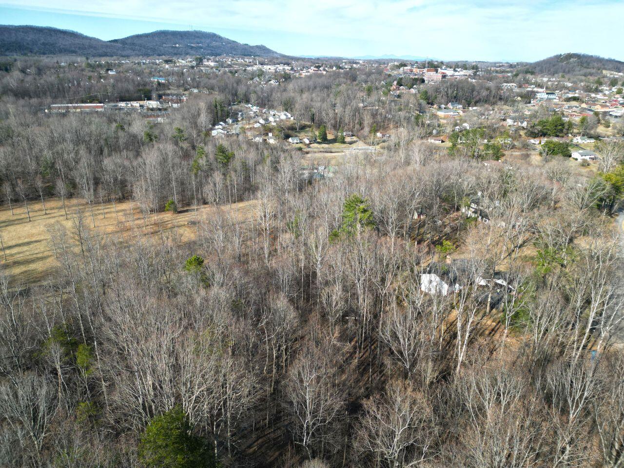 0 Highview Terrace Rocky Mount, VA 24151 - Photo 3 of 23 a view of a forest with mountains in the background