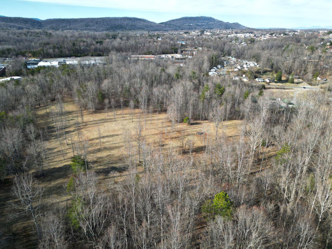 0 Highview Terrace Rocky Mount, VA 24151 - Photo 4 of 23 a view of a yard with trees in the background