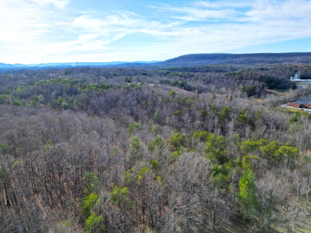0 Highview Terrace Rocky Mount, VA 24151 - Photo 6 of 23 a view of a dry yard with green space