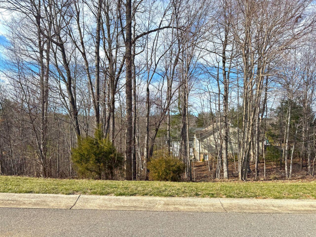 0 Highview Terrace Rocky Mount, VA 24151 - Photo 8 of 23 a yard with trees in the background