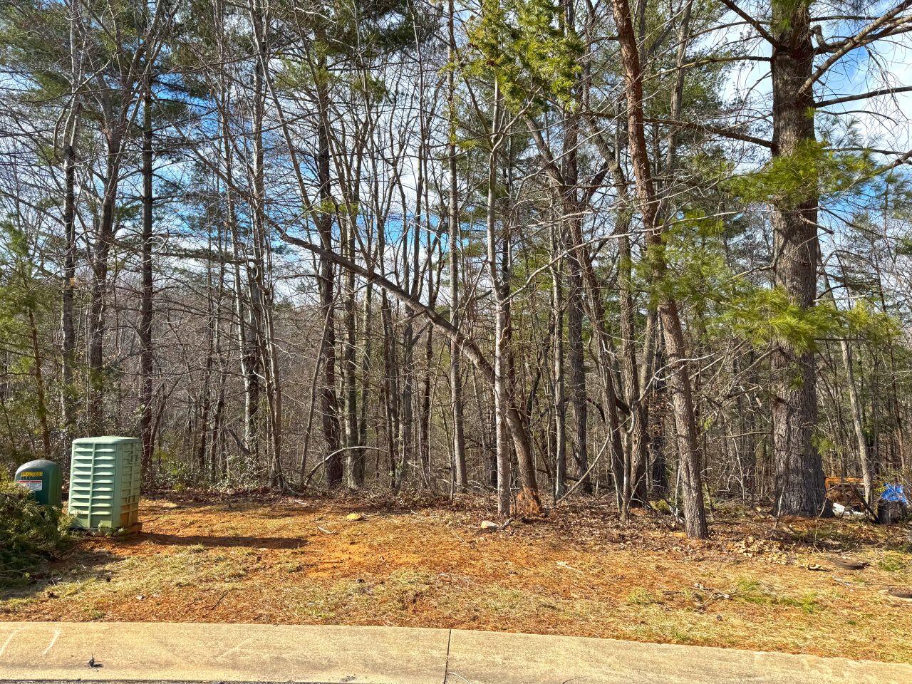 0 Highview Terrace Rocky Mount, VA 24151 - Photo 9 of 23 a view of a house with a yard