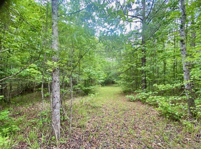 0 Pete Johnson Road Tignall, GA 30668 - Photo 36 of 43