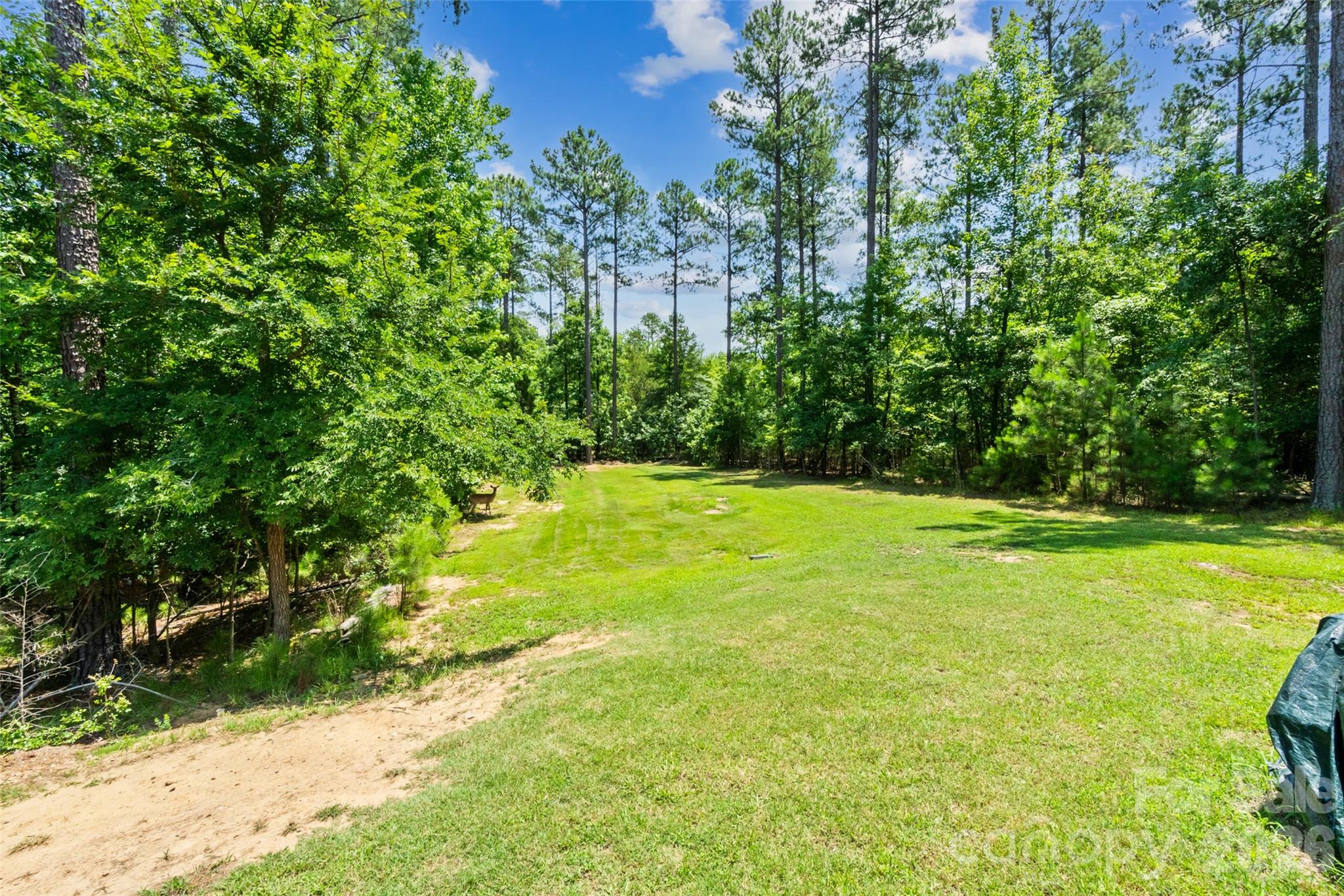 1533 Aragon Beach Road Rock Hill, SC 29732 - Photo 46 of 48