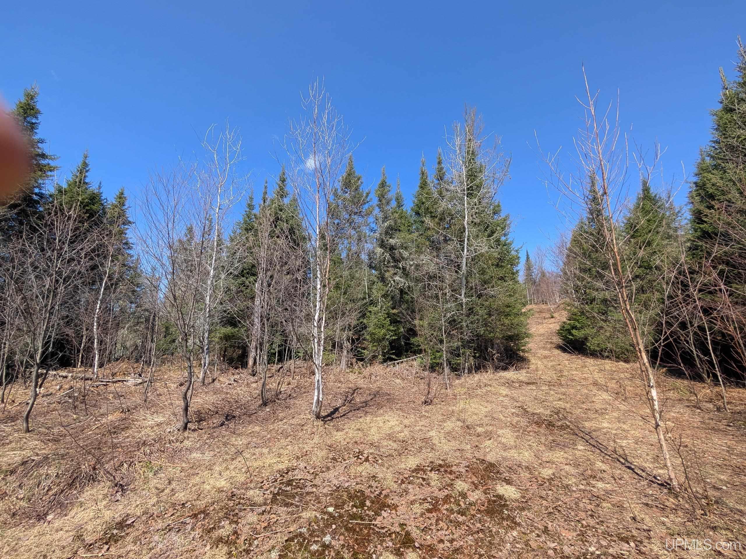 8-acres East Cable Lake Road Crystal Falls, MI 49920 - Photo 8 of 20