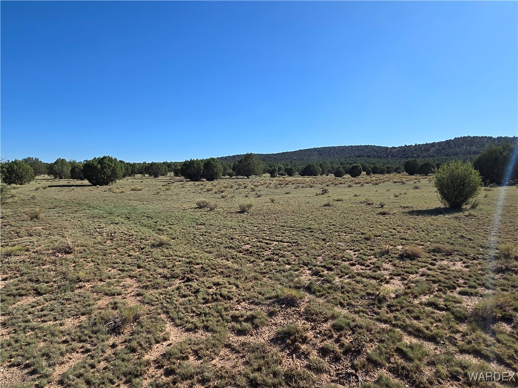 160-acres Unnamed Road Seligman, AZ 86337 - Photo 8 of 13 Other