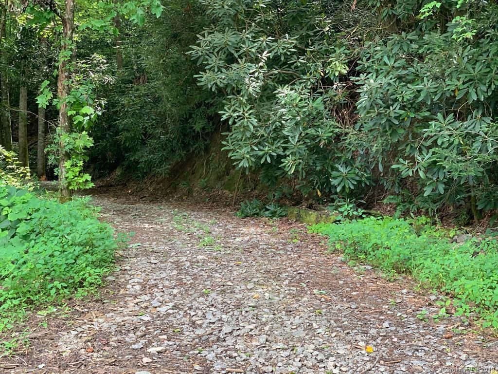 Tbd Tbd Old Gloucester Road Brevard, NC 28712 - Photo 2 of 11