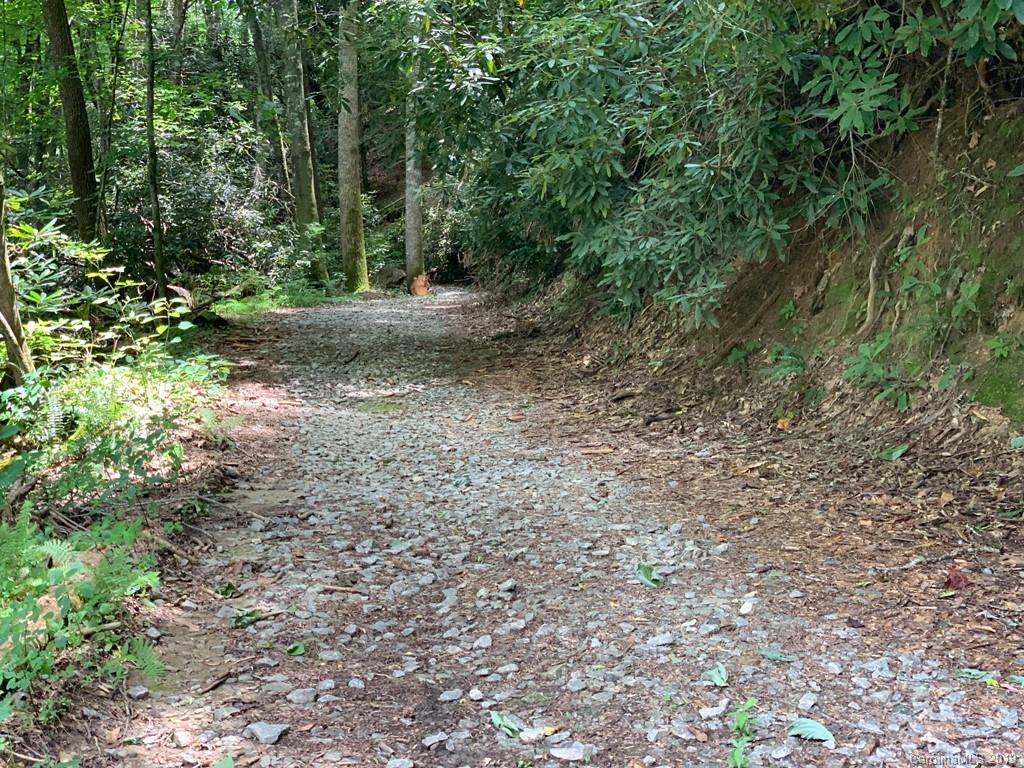 Tbd Tbd Old Gloucester Road Brevard, NC 28712 - Photo 3 of 11