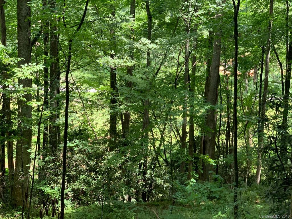 Tbd Tbd Old Gloucester Road Brevard, NC 28712 - Photo 4 of 11