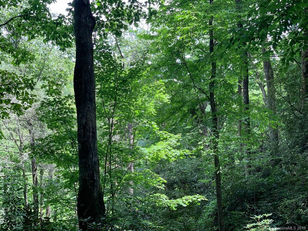 Tbd Tbd Old Gloucester Road Brevard, NC 28712 - Photo 6 of 11