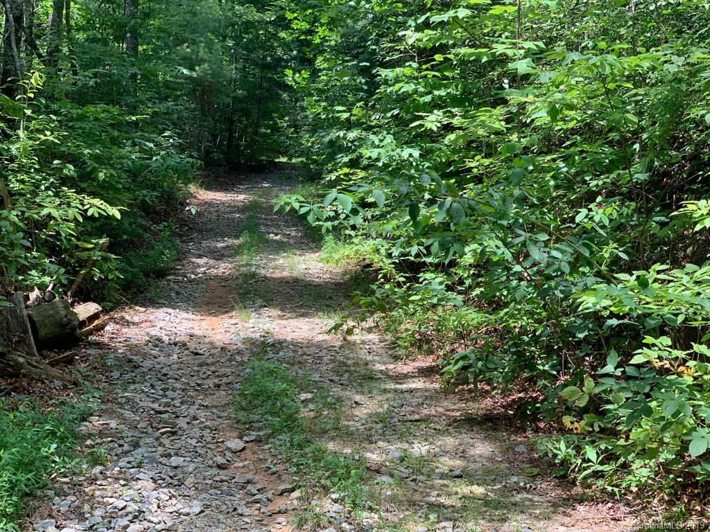 Tbd Tbd Old Gloucester Road Brevard, NC 28712 - Photo 9 of 11
