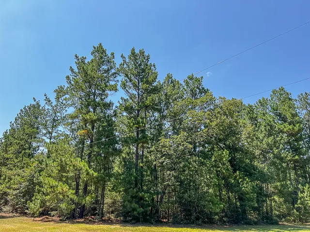 a view of a house with a tree
