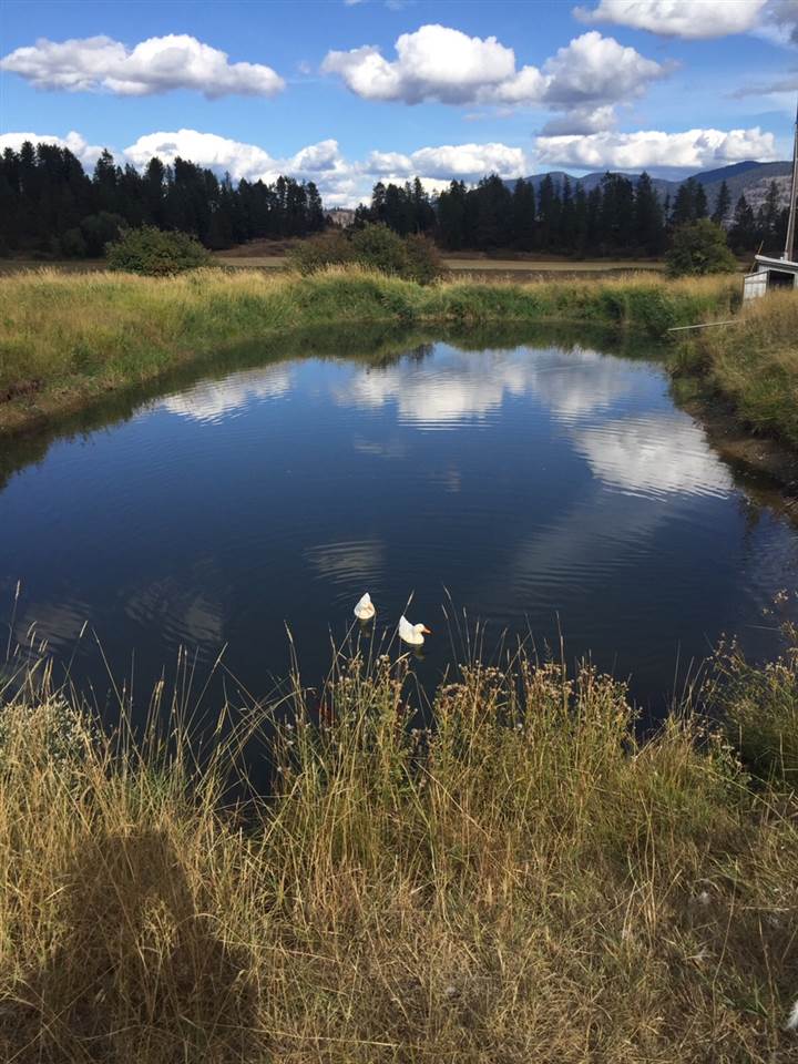 1922 A Swiss Valley Road Addy, WA 99101 - Photo 10 of 14