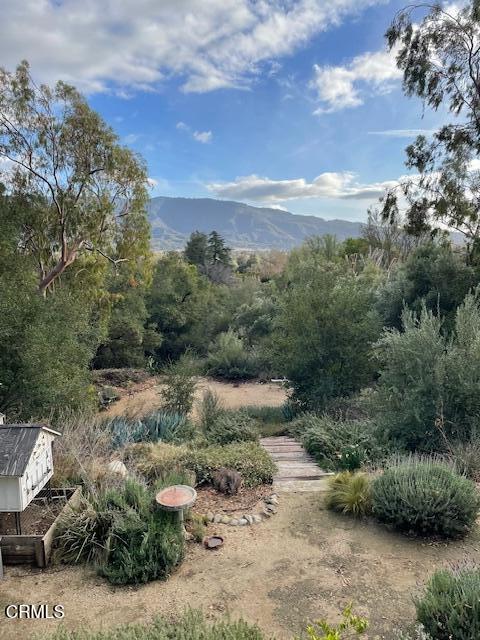 811 North Montgomery Street Ojai, CA 93023 - Photo 20 of 34 IMG_3929