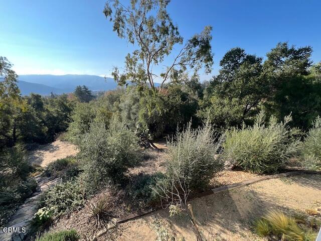 811 North Montgomery Street Ojai, CA 93023 - Photo 28 of 34 Yard 2