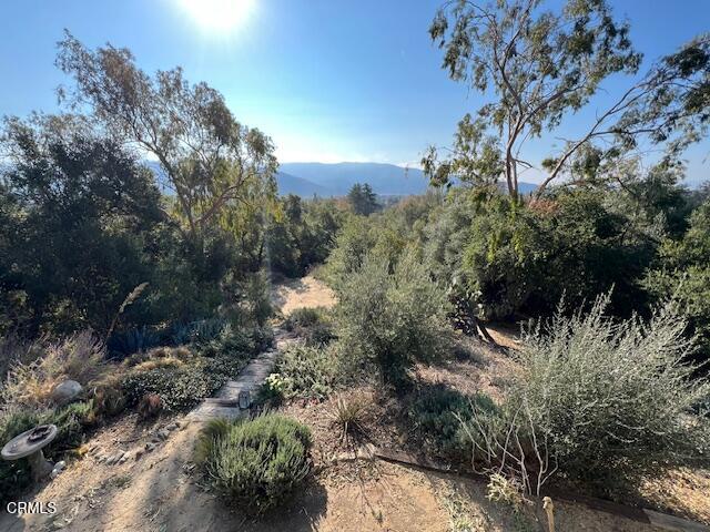 811 North Montgomery Street Ojai, CA 93023 - Photo 30 of 34 Yard