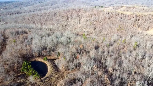 $225,000 | Tbd Tbd Carter D-304, Van Buren, MO 63965