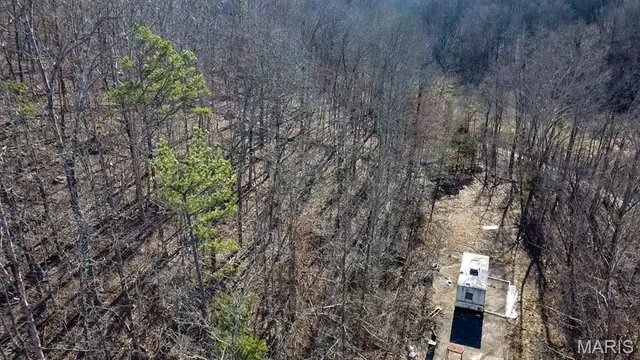 $225,000 | Tbd Tbd Carter D-304, Van Buren, MO 63965