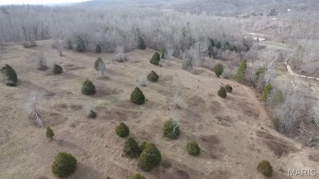 $225,000 | Tbd Tbd Carter D-304, Van Buren, MO 63965