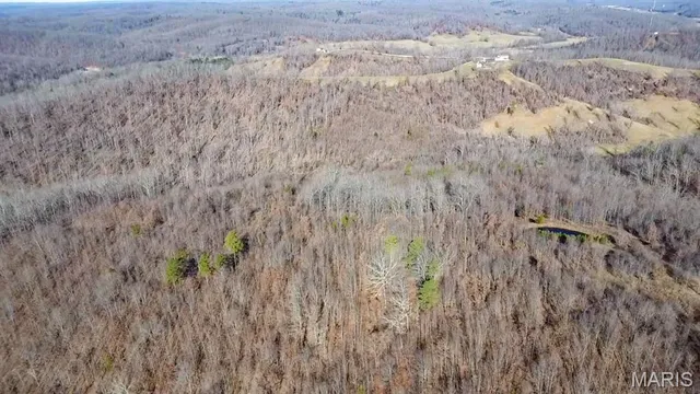 $225,000 | Tbd Tbd Carter D-304, Van Buren, MO 63965