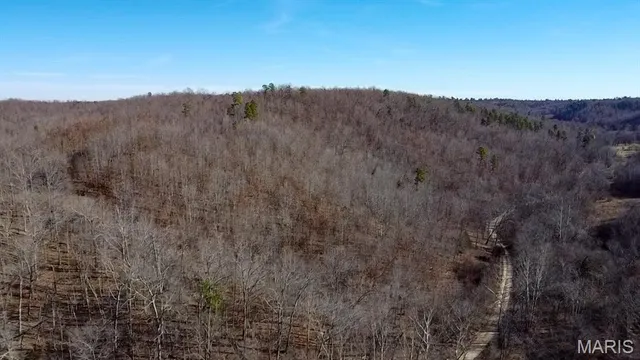 $225,000 | Tbd Tbd Carter D-304, Van Buren, MO 63965