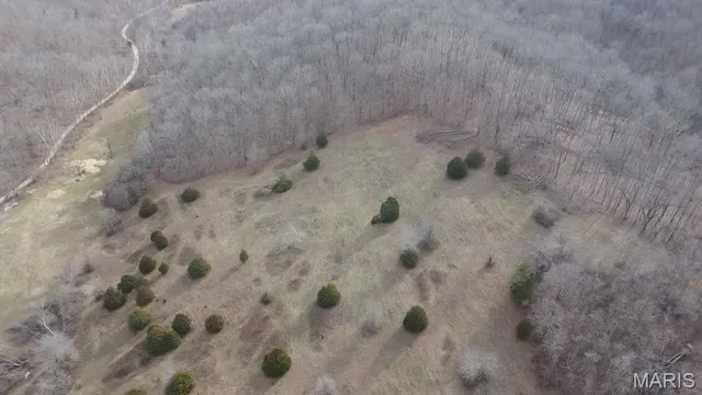 $225,000 | Tbd Tbd Carter D-304, Van Buren, MO 63965