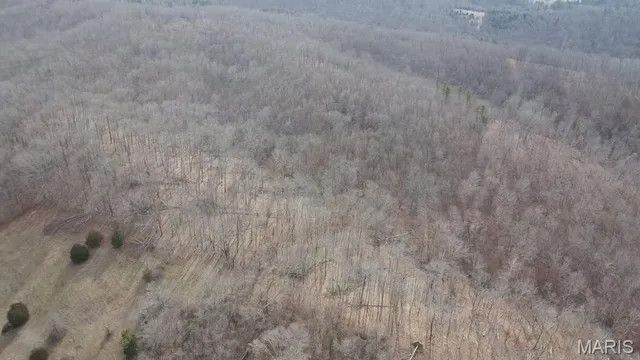 $225,000 | Tbd Tbd Carter D-304, Van Buren, MO 63965