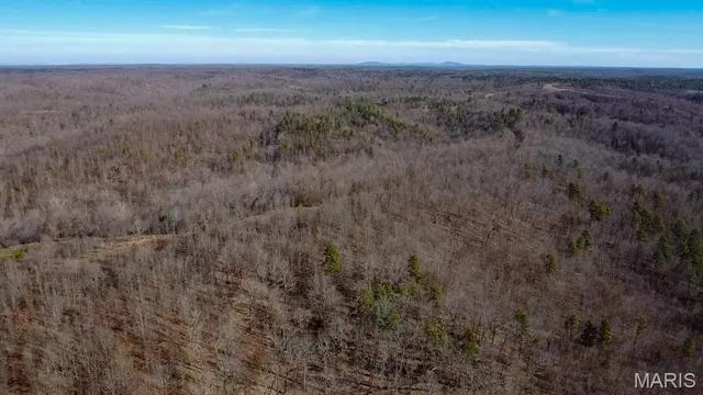 $225,000 | Tbd Tbd Carter D-304, Van Buren, MO 63965