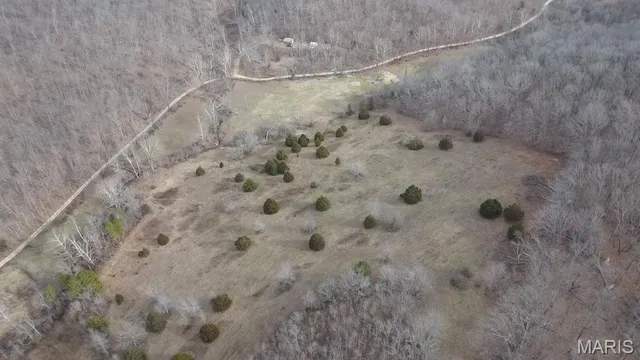 $225,000 | Tbd Tbd Carter D-304, Van Buren, MO 63965