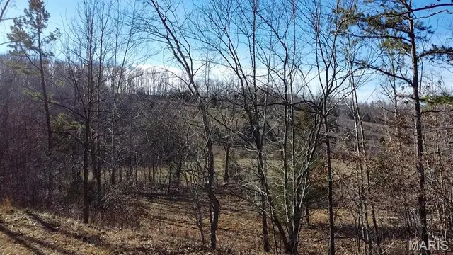 $225,000 | Tbd Tbd Carter D-304, Van Buren, MO 63965