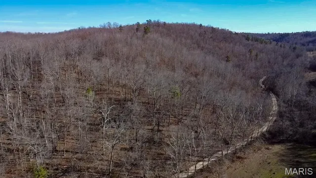 $225,000 | Tbd Tbd Carter D-304, Van Buren, MO 63965