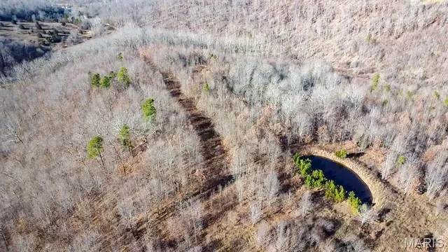 $225,000 | Tbd Tbd Carter D-304, Van Buren, MO 63965