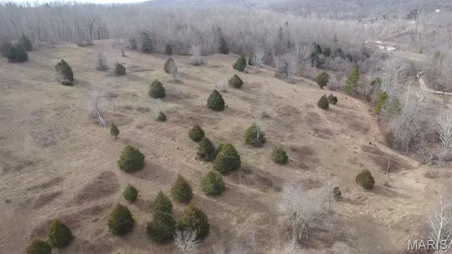 $225,000 | Tbd Tbd Carter D-304, Van Buren, MO 63965