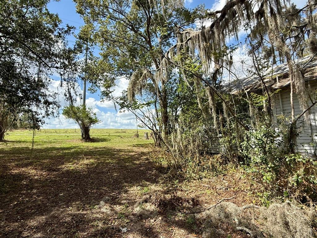 10010 Fort King Road Dade City, FL 33525 - Photo 21 of 36 a view of a yard with a tree