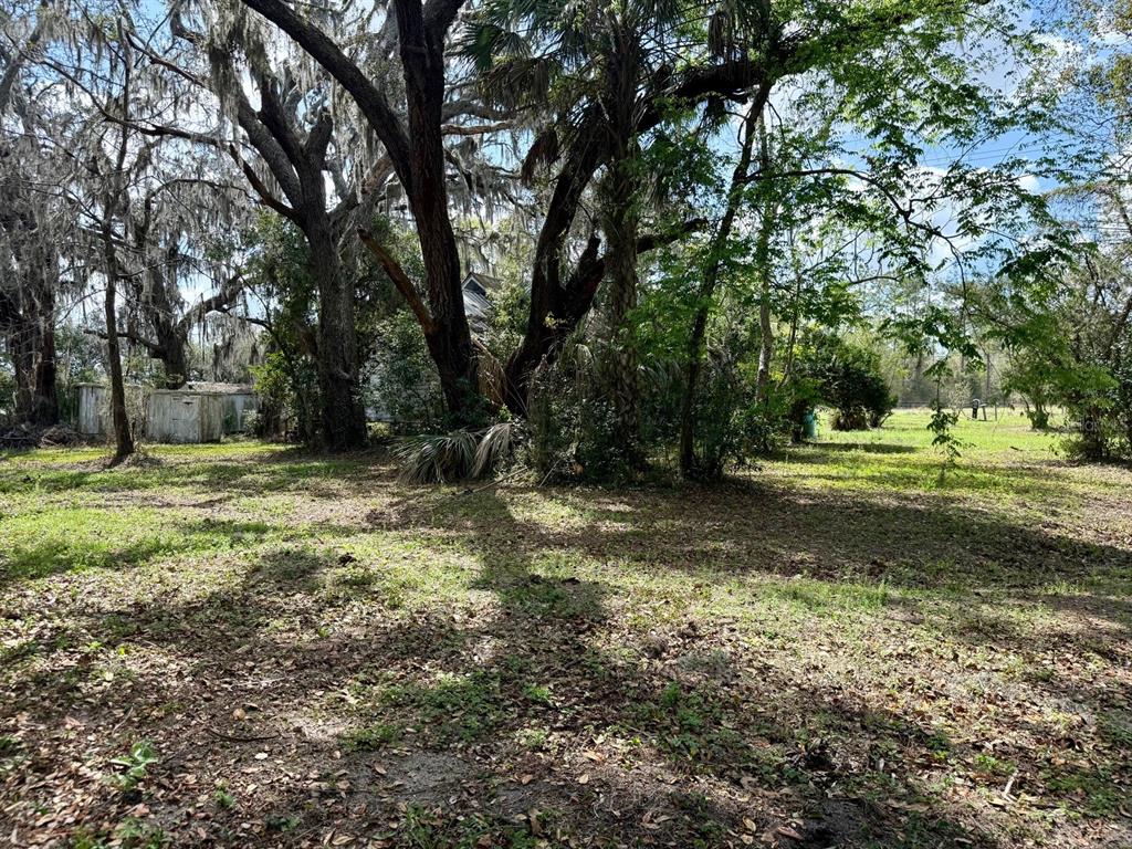 10010 Fort King Road Dade City, FL 33525 - Photo 23 of 36 a view of a tree is in the middle of a yard