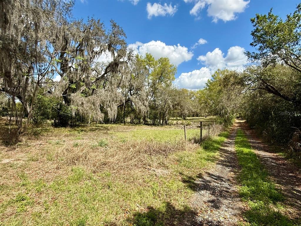 10010 Fort King Road Dade City, FL 33525 - Photo 24 of 36 a swimming pool with trees in the background