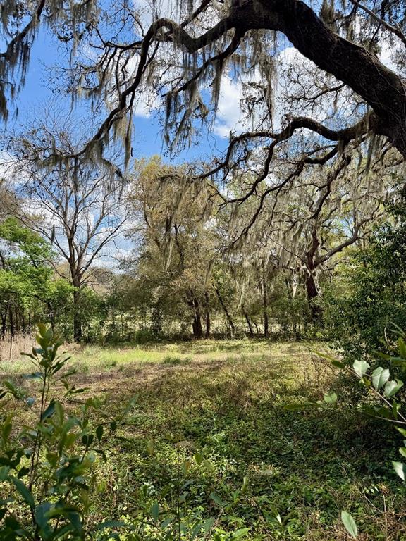 10010 Fort King Road Dade City, FL 33525 - Photo 25 of 36 a big yard with lots of green space