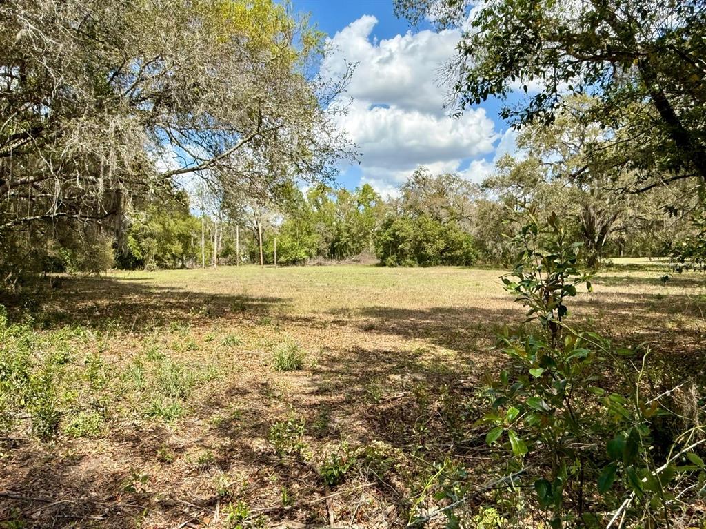 10010 Fort King Road Dade City, FL 33525 - Photo 26 of 36 a view of yard with large tree