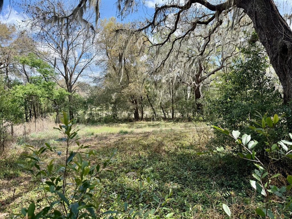 10010 Fort King Road Dade City, FL 33525 - Photo 27 of 36 a view of outdoor space with deck and tree