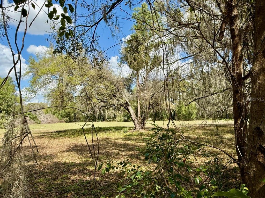 10010 Fort King Road Dade City, FL 33525 - Photo 28 of 36 a view of yard with tree