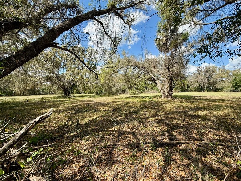 10010 Fort King Road Dade City, FL 33525 - Photo 29 of 36 a view of dirt yard with green space