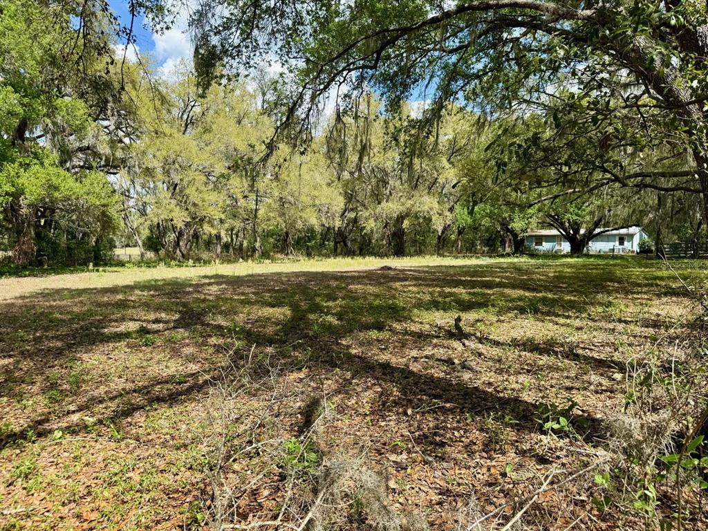 10010 Fort King Road Dade City, FL 33525 - Photo 30 of 36 a view of a field with a trees