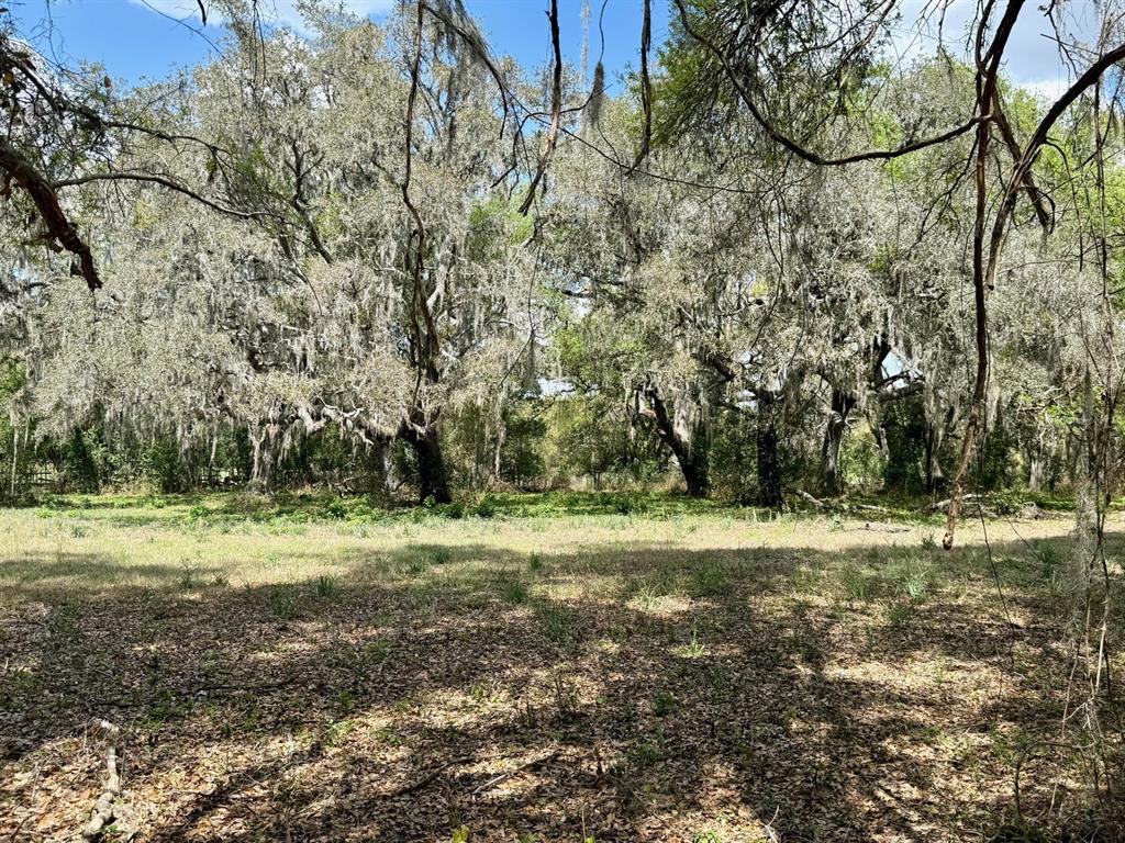 10010 Fort King Road Dade City, FL 33525 - Photo 31 of 36 a view of a yard with a tree
