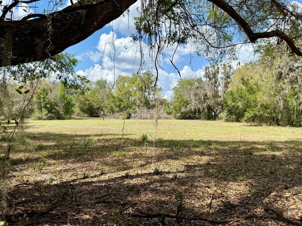 10010 Fort King Road Dade City, FL 33525 - Photo 33 of 36 a view of yard with large trees