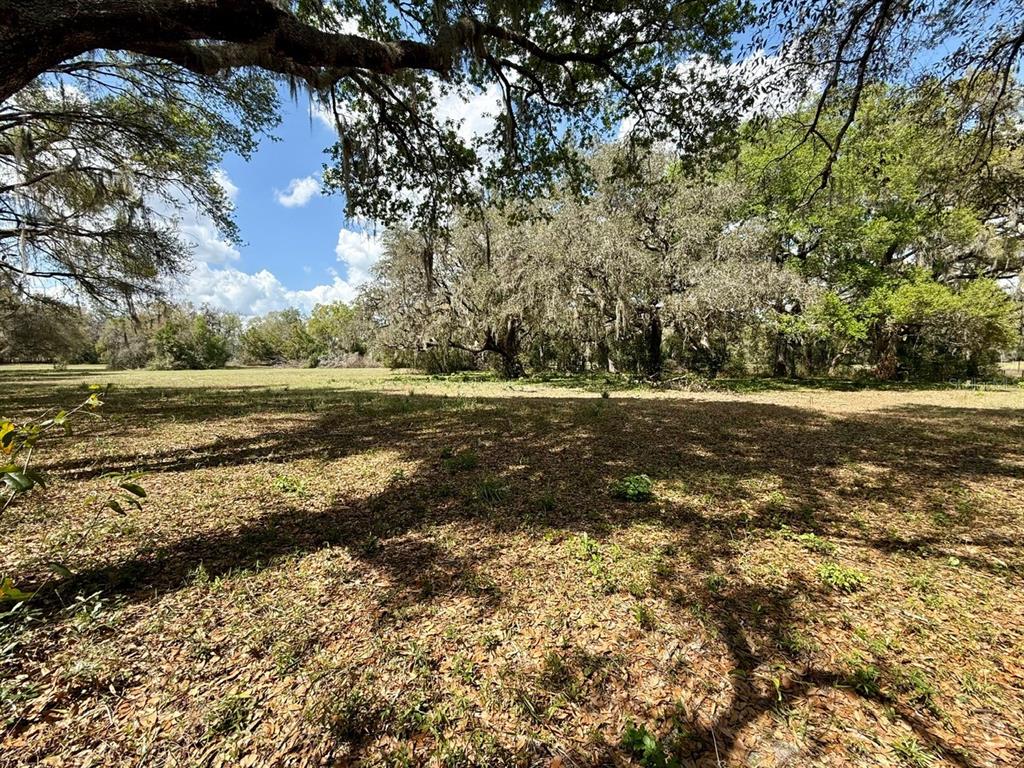 10010 Fort King Road Dade City, FL 33525 - Photo 35 of 36 a view of a field with an ocean view