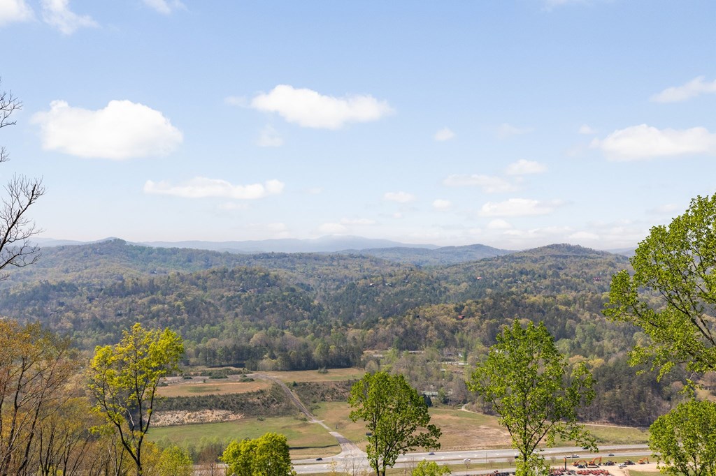 585 Blue Ridge Heights Drive Blue Ridge, GA 30513 - Photo 17 of 75