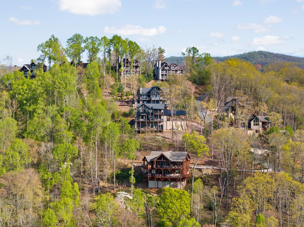 585 Blue Ridge Heights Drive Blue Ridge, GA 30513 - Photo 58 of 75