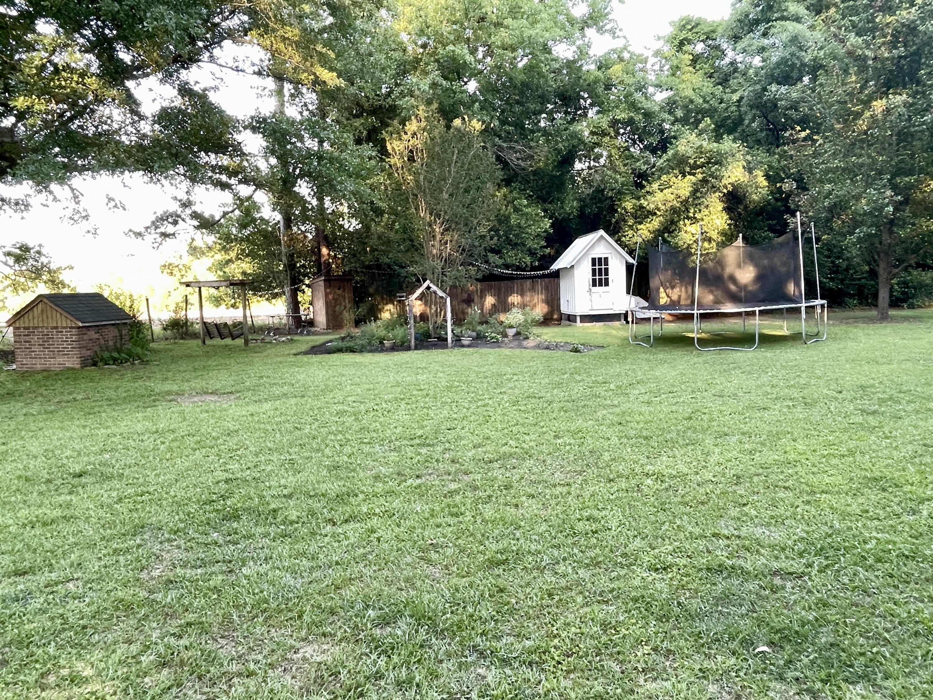 2166 Healing Springs Road Blackville, SC 29817 - Photo 39 of 43 a backyard of a house with lots of green space and trampoline